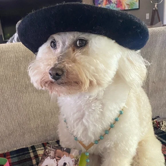 Offers & Bundles - Picture 6 of 9